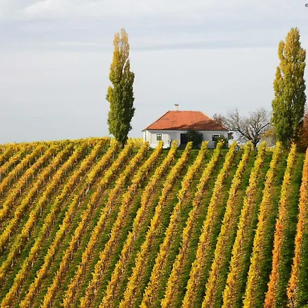 Jufa - Inkl 4h Thermeneintritt In Parktherme فندق باد رادكرسبرغ