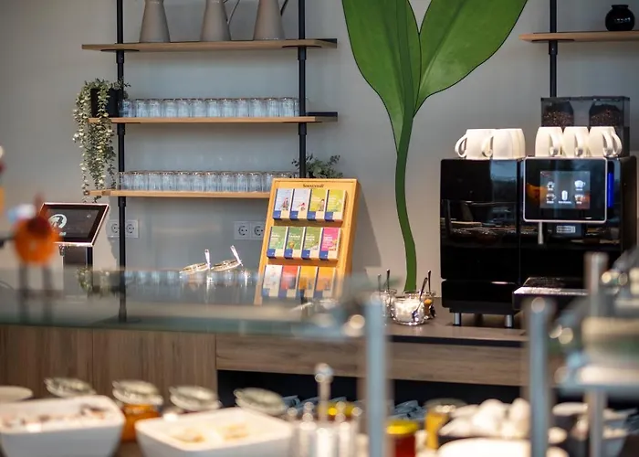 Jufa - Inkl 4h Thermeneintritt In Parktherme Hotel Bad Radkersburg