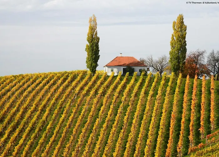 Jufa - Inkl 4h Thermeneintritt In Parktherme فندق باد رادكرسبرغ